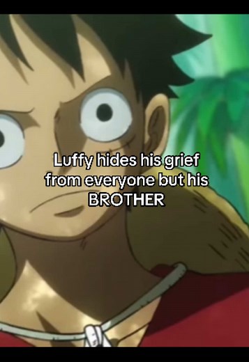 Luffy's Emotional Reunion with Sabo | One Piece Moments