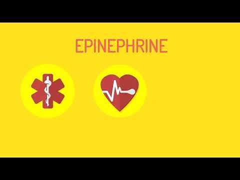 Anaphylaxis 101 - Understand the basics