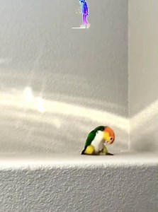 Aujourd’hui , j'ai envie de vous souhaiter le meilleur des week-ends, rempli de douceur, d'amour, de joie… et tout ce que vous souhaitez y mettre dedans ! Quel plaisir de recevoir un souhait et de pouvoir se l'approprier !!! Ne me remercie pas, tu l'as bien mérité ! Bon week-end !!! 💚 | Sαmιά ‘