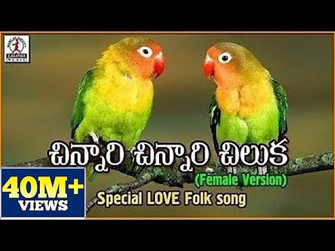 Chinnari Chinnari Chiluka Telugu Song | Popular Private Love Songs | Lalitha Audios And Videos