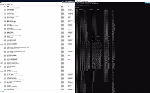如何关闭443端口，解决443被占用