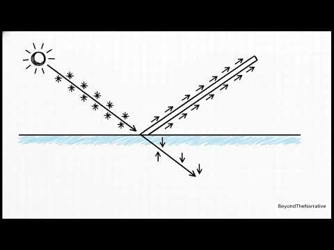 Light Reflection Explained: Laws of Reflection, Angles & Real-Life Applications