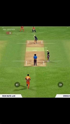 Top Cricket Tips for Enthusiasts and Beginners