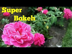 Cara Pasang Google Camera Mod/GCam Mod TANPA ROOT Bokeh Kamera Depan Belakang Beserta Klarifikasi