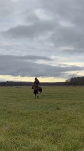 51K views · 570 reactions | This ain't his first rodeo 鸞龜 #Moose #Rodeo #Russia #ViralHog | ViralHog | Facebook