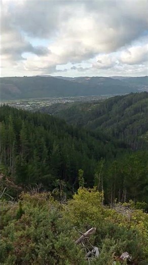 good view #lifeisbutadream