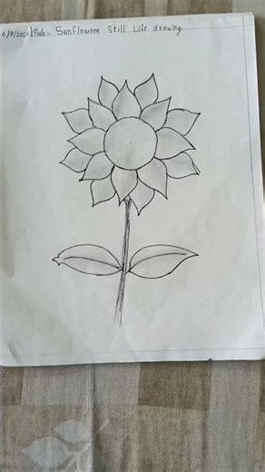 sunflowers still Life drawing