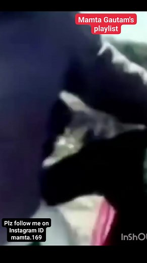 Song Name : Mere Desh Mein Pawan Album / Movie : Jigri Dost (1969) Star Cast : Jeetendra, Mumtaz Singer : Mohammed Rafi Music Director : Laxmikant Shantaram Kudalkar (Laxmikant Pyarelal), Pyarelal Ramprasad Sharma (Laxmikant Pyarelal) Lyrics by : Anand Bakshi Music Label : Saregama | Mamta Gautam's Playlist