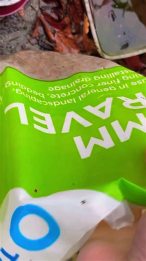 Stop Throwing These Away! ♻️ Upcycle Zero-Waste Humidity Trays