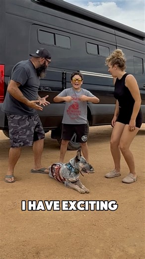 121K views · 4.2K reactions | New shirt design release! Rolling with the Vich fam! Everyone who ordered a package worth $100 for name spots, a shirt, and a postcard will receive this new design! Want to get your shirt or name spot with the package? It’s still available! https://www.thevichfam.com/collections/the-vich-fam-van-life | The Vich’s Fam | Facebook