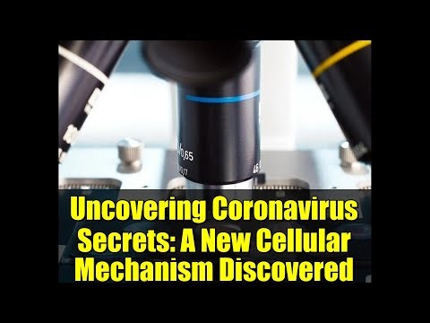Uncovering Coronavirus Secrets: A New Cellular Mechanism Discovered
