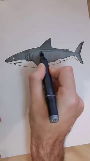 19K views · 308 reactions | Les dents de la mer  #dessin #facile #debutant #apprendre #tuto #tutorial #draw #drawing #easy #learn #beguiner # | Ezio Lia | Facebook