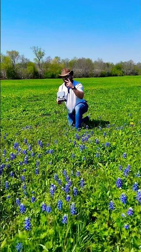 The Famous Texas Bluebonnet Fields 🌳 #Shorts