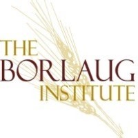 Borlaug Institute for International Agriculture | LinkedIn