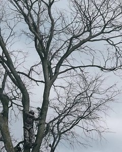 758 reactions · 56 shares | Hunting apparel and gear that’s made for whitetail, and covered by our Unconditional Lifetime Warranty. | Badlands | Facebook