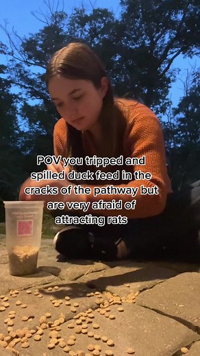 The Quack House on TikTok