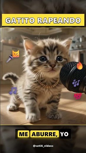 This baby kitten was born to rap 🐱🎶