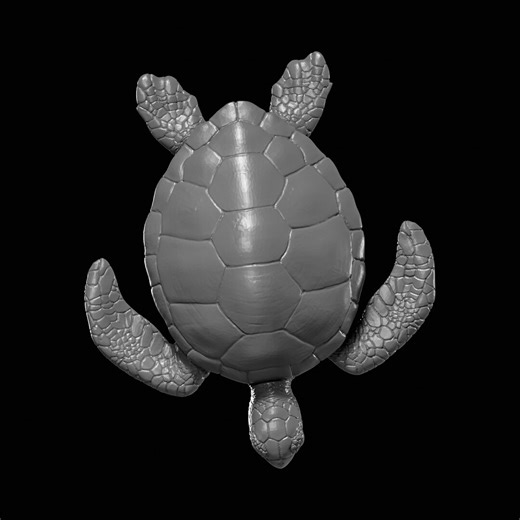 Sea Turtle STL File for 3D Printing - Etsy Canada