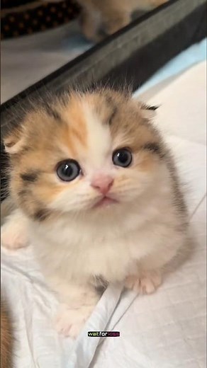 "😆💫"The Ending That Made Everyone Laugh