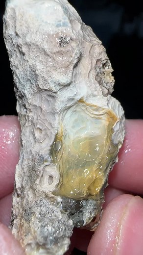 Strange little Coral Geode…whats inside? #geode #geodecracking #rocks #crystals #geology #fossils #minerals