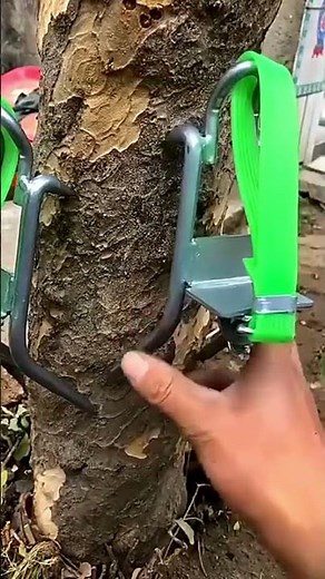 These Climbing Spikes Make Tree Work Safer and Easier!