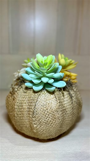 12K views · 136 reactions | Burlap & Succulents Pumpkin Fall Dollar Tree DIY #dollartreediy #falldecor #falldiy #CraftyBeach | Crafty Beach | Facebook