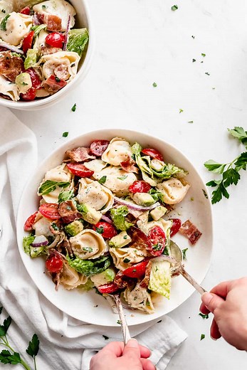 BLT Tortellini Pasta Salad - The Recipe Critic