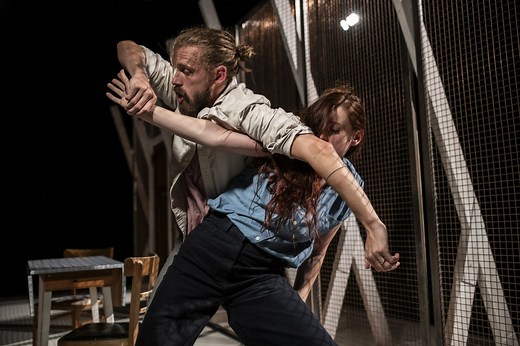 Lost Dog — Juliet & Romeo