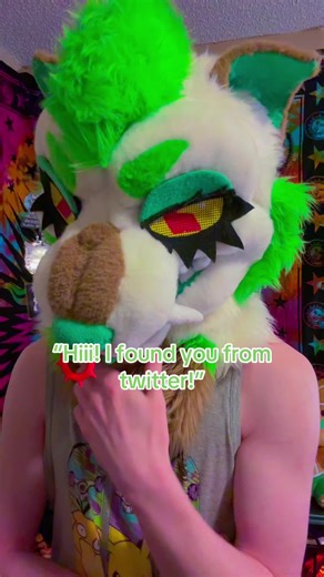 There’s a reason why I gave it a different handle rather than using my main one for my other socials (no this hasn’t happened to me yet) 😭😭😭 #furry #fursuit #fursuiter #furryfandom #furrycommunity