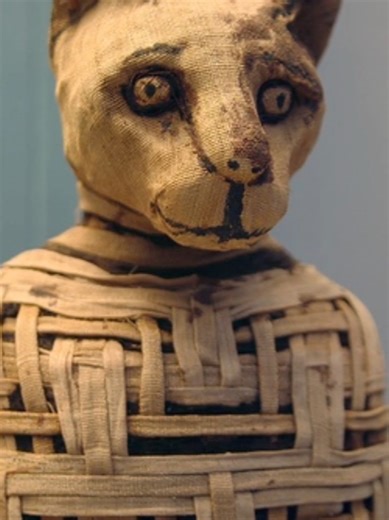 The Sacred Role of Cats in Ancient Egypt