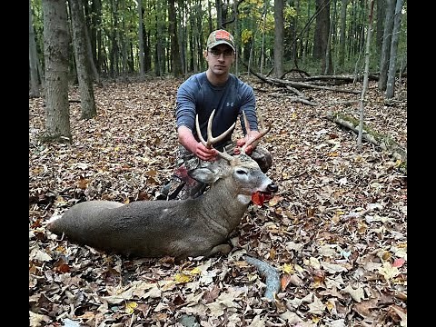 Bow Hunting New York, Big Buck Down