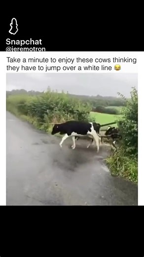 99problems_1 on TikTok