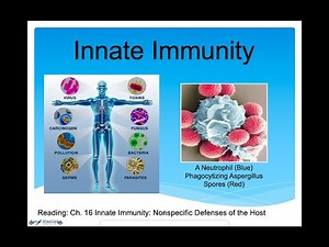 Innate Immunity Lecture (Immune System Part 1)