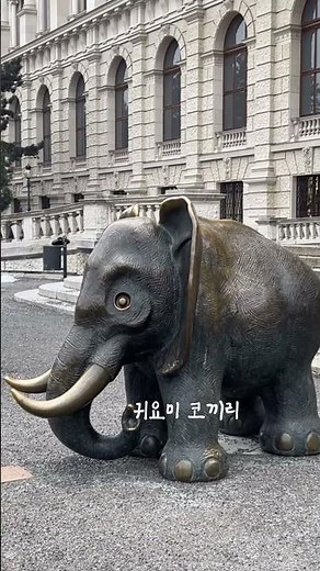 🇦🇹낭만 가득한 비엔나의 하루 🥐 맛집부터 자연사박물관까지 #travelshorts