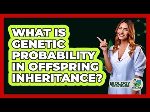 What Is Genetic Probability In Offspring Inheritance?