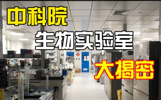 参观中科院生物实验室！科研人每天做实验的地方长啥样？