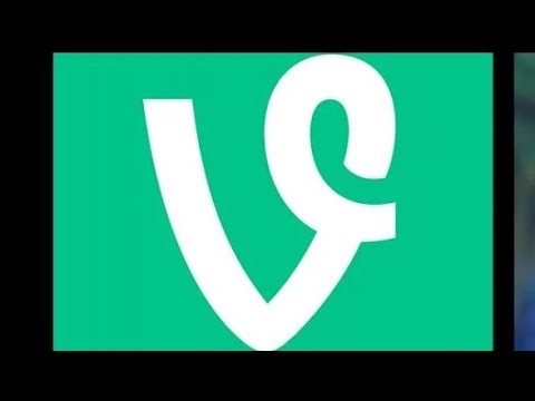 diVine App Review | The New Short-Video Platform Funded by Jack Dorsey