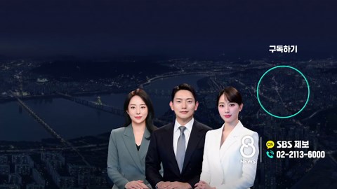 "저희 신뢰 있으니까"…가짜 사이트로 속인 피싱 조직 46명 검거 / SBS / #D리포트