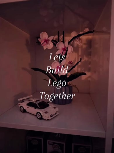 Let's Build LEGO Together: A Complete Guide