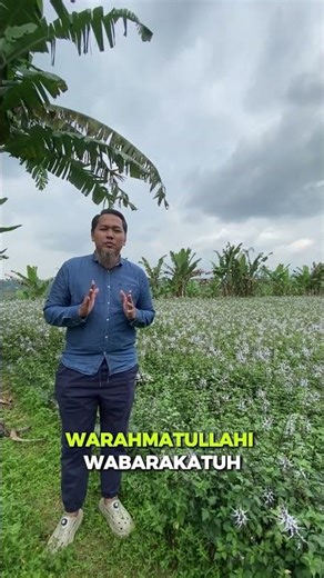 Apa ada tumbuhan yang tumbuh diatas 3 Tahun?