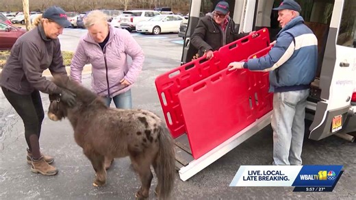 Farm matches furry friends with seniors, veterans