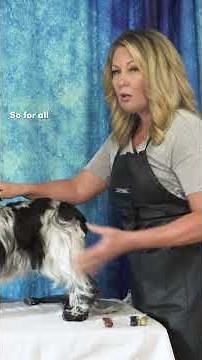 Prepping The Coat for Raking #dogshow #grooming #conformation
