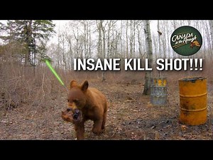 Bear Shot with a Bow (Insane Pass Through Shot Filmed on a GoPro)