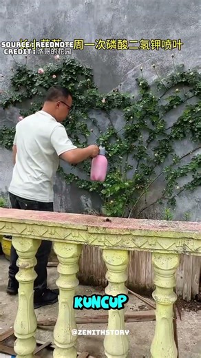 seni menghiasi dinding dengan bunga mawar