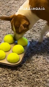 23K views · 33 reactions | This toy will keep your dog occupied for a long time 殺 | Handimania | Facebook