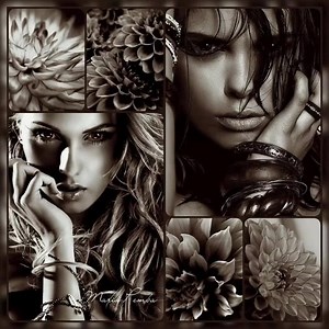 3.2K views · 52 reactions | My World on Reels | Facebook