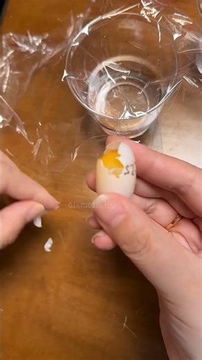 कछुए अण्डे कैसे देता है #youtubeshorts #facts #animals