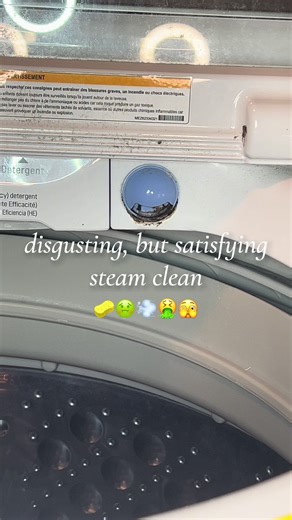 Steam Cleaning My Disgusting Washing Machine & House
