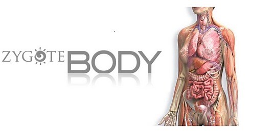 Atlante di anatomia umana 3D free. Programma anatomia del corpo umano