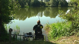 7.4K views · 58 reactions | *** NEW - Horizon XD Feeders *** Horizon...